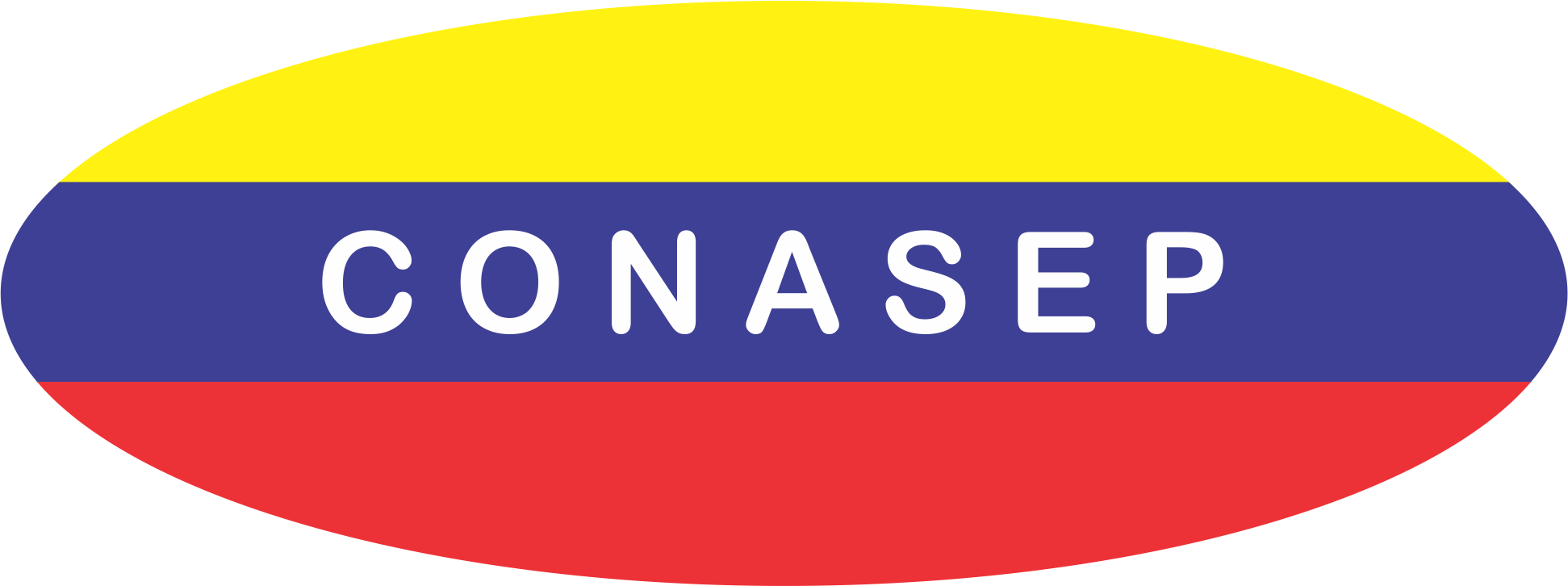 COMISIÓN EJECUTIVA ESPECIAL PERMANENTE
